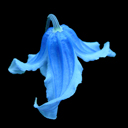 Clematis integrifolia