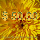 $50.00 Conventional Gift Certificate