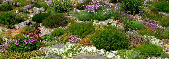 Rock Garden Collection
