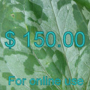 $150.00 On Line Gift Certificate