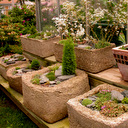 Trough Garden Collection very small