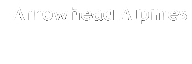Arrowhead Alpines Arrowhead Alpines