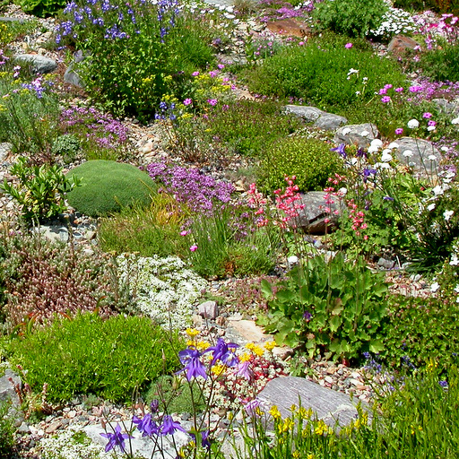 Rock Garden Collection Large - Click Image to Close