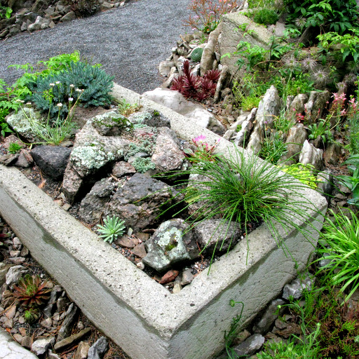 Trough Garden Collection small - Click Image to Close